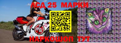 индика Кулебаки