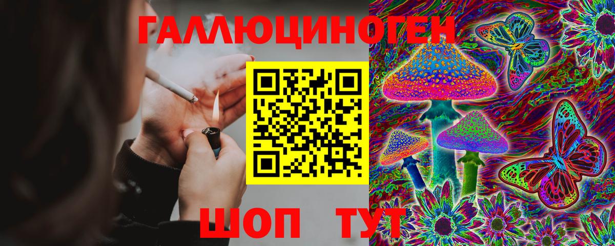 Галлюциногенные грибы прущие грибы  Вход с VPN  Энгельс 